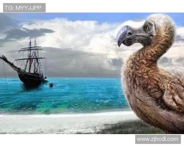 灰熊生态研究:栖息地保护、种群动态与生态环境的相互关系分析 灰熊生态研究:栖息地保护、种群动态与生态环境的相互关系分析