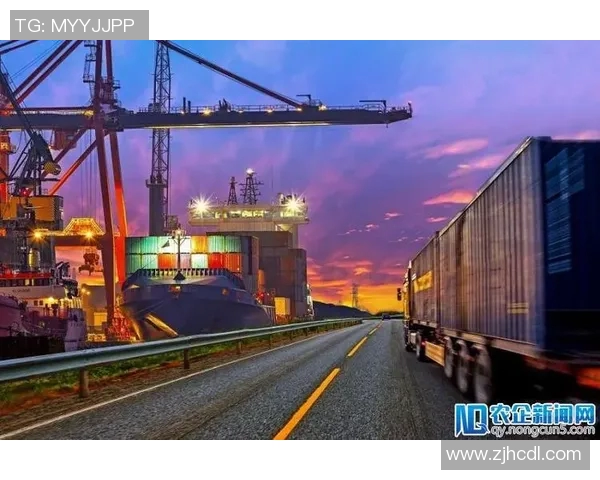 智能快递物流系统创新与发展探索：提升效率与服务质量的关键路径